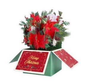 Biglietto Origamo 3D flobox - Stella Box Foto prodotto